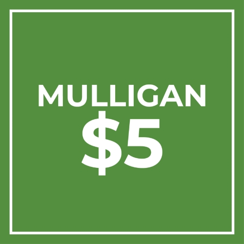 Mulligan – Sunshine Kids Golf Tournament (Nevada)